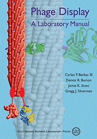 Phage Display: A Laboratory Manual