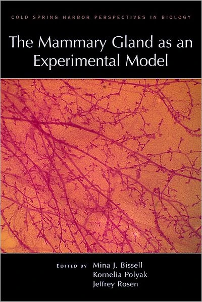 The Mammary Gland as an Experimental Model