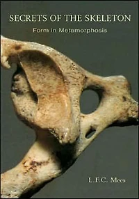 Secrets of the Skeleton: Form Metamorphosis