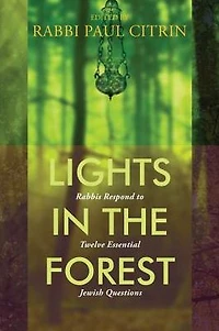Lights the Forest: Rabbis Respond to Twelve Essential Jewish Questions
