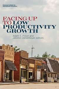 Facing Up to Low Productivity Growth