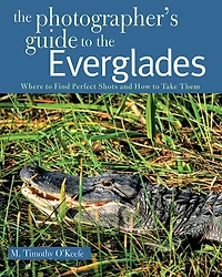 The Photographer's Guide to the Everglades: Where to Find Perfect Shots and How to Take Them
