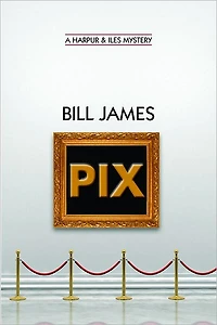 Pix (Harpur and Iles Series #24)