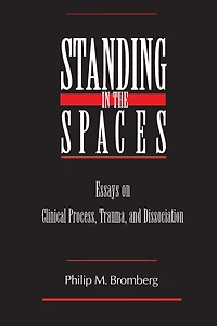 Standing the Spaces: Essays on Clinical Process Trauma and Dissociation