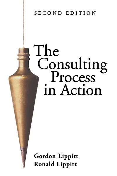 The Consulting Process in Action