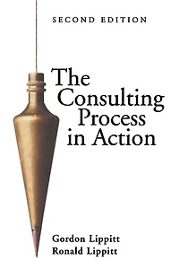 The Consulting Process in Action