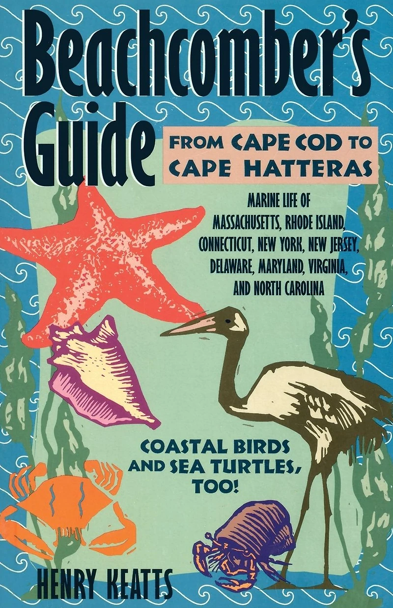 Beachcomber's Guide from Cape Cod to Cape Hatteras