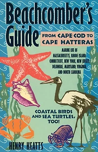 Beachcomber's Guide from Cape Cod to Cape Hatteras
