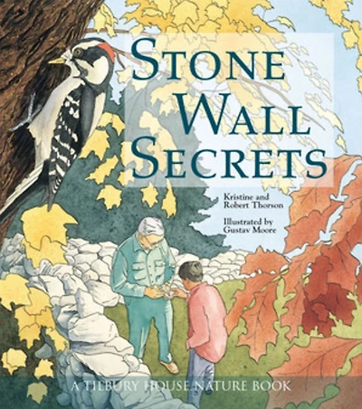 Stone Wall Secrets