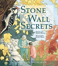 Stone Wall Secrets