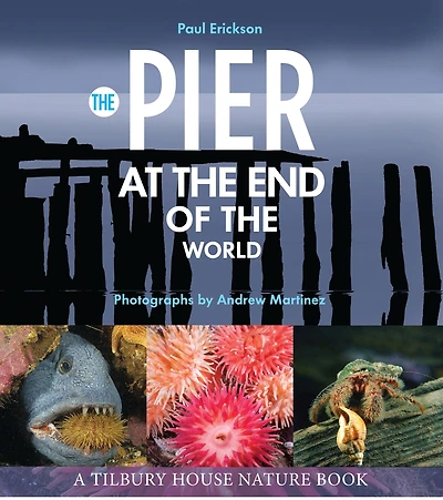 the Pier at End of World