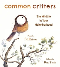 Common Critters: The Wildlife Your Neighborhood
