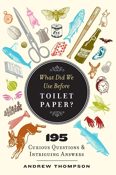 What Did We Use Before Toilet Paper?