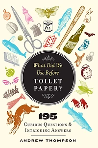 What Did We Use Before Toilet Paper?
