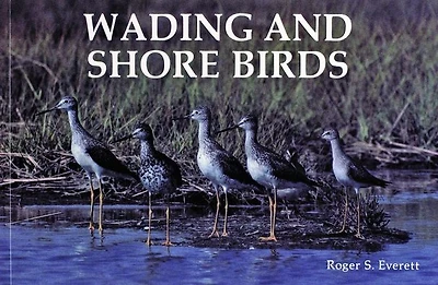 Wading and Shore Birds: A Photographic Study