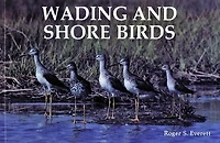 Wading and Shore Birds: A Photographic Study