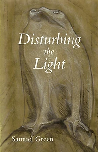 Disturbing the Light