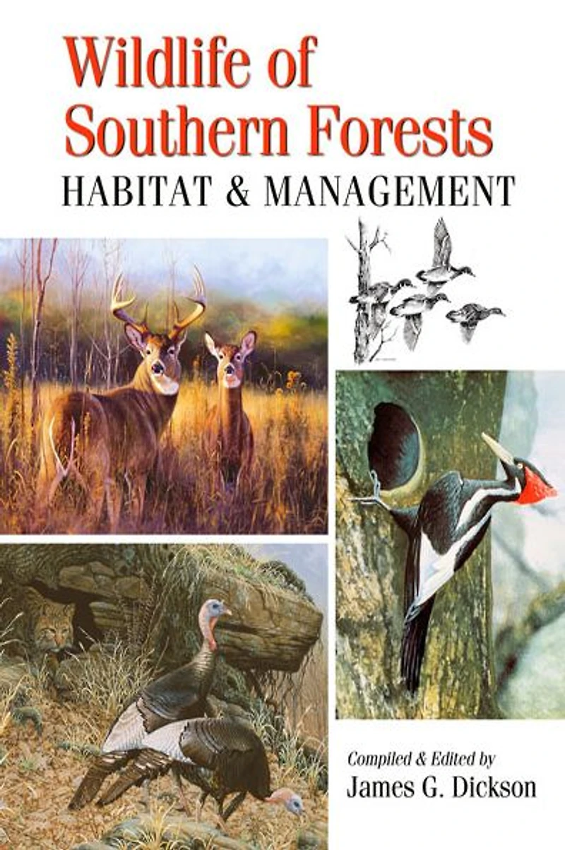 Wildlife of Southern Forests: Habitat & Management