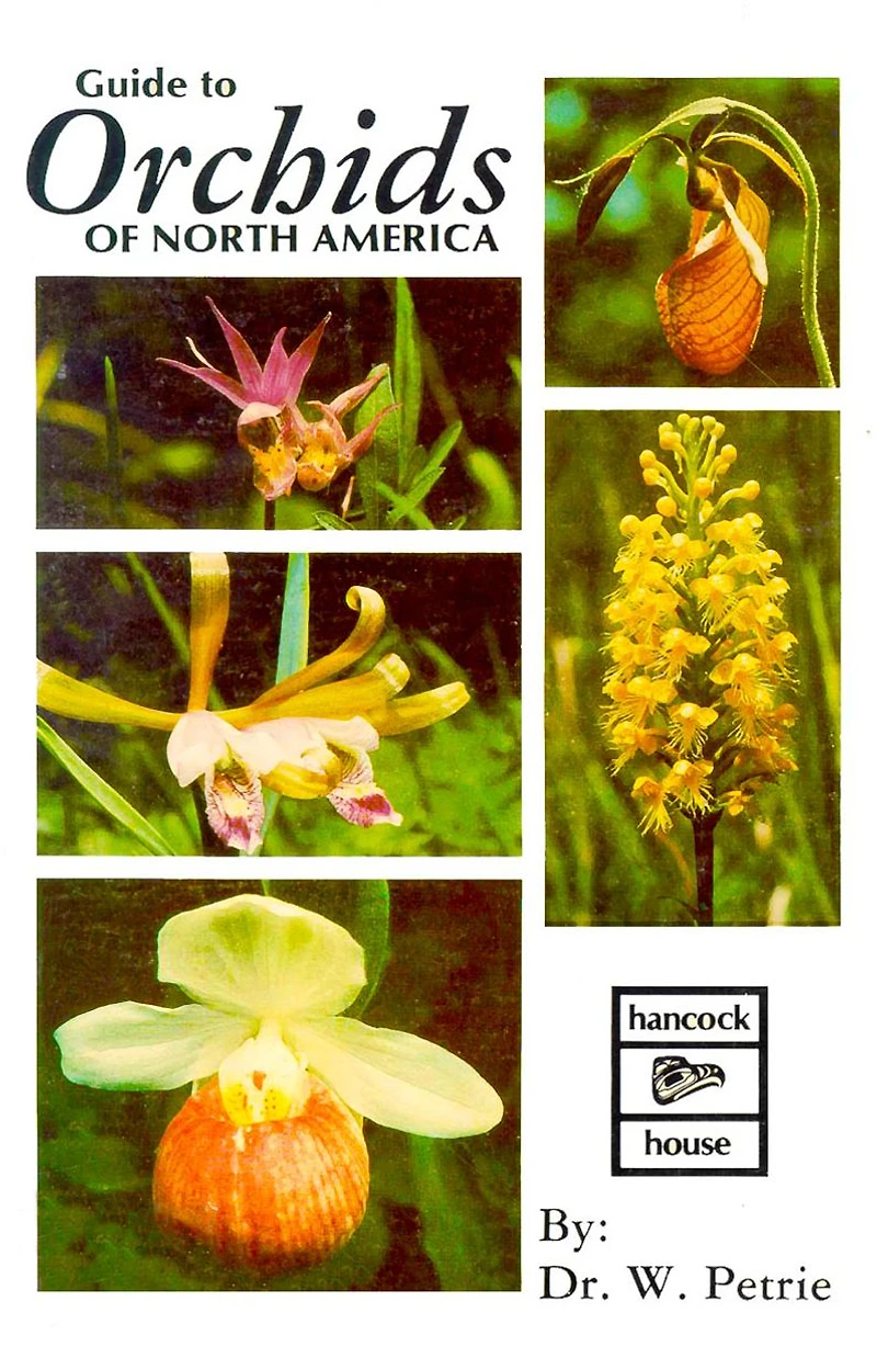Orchids of North America