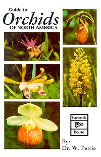 Orchids of North America