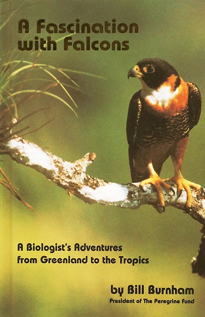 A Fascination with Falcons: A Biologist's Adventures from Greenland to the Tropics