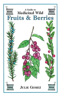A Guide to Medicinal Wild Fruits and Berries