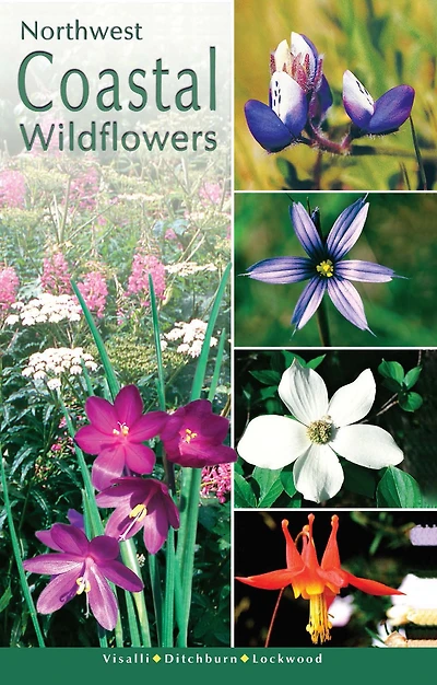 Northwest Coastal Wildflowers: Volume 1