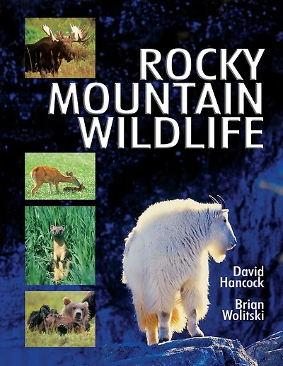 Rocky Mountain Wildlife
