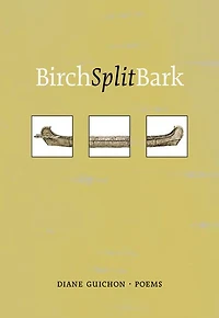 Birch Split Bark