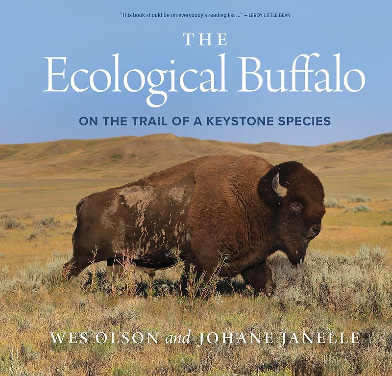 the Ecological Buffalo: On Trail of a Keystone Species