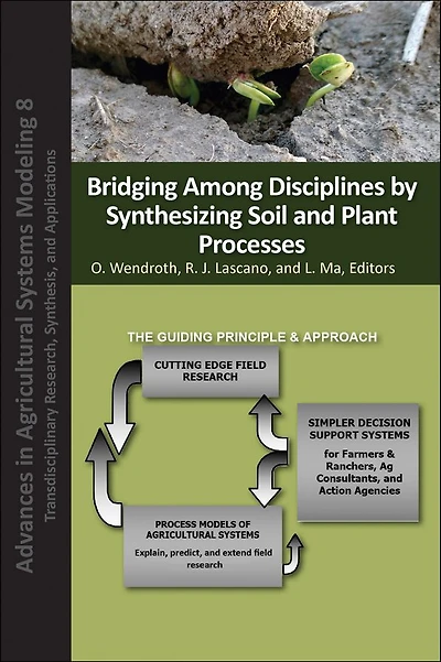 Bridging Among Disciplines by Synthesizing Soil and Plant Processes