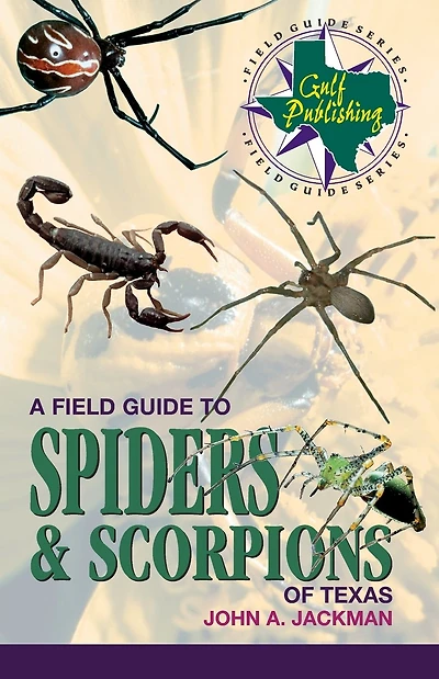 A Field Guide to Spiders & Scorpions of Texas