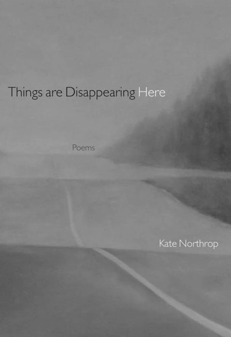 Things Are Disappearing Here: Poems