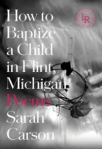 How to Baptize a Child in Flint, Michigan: Poems