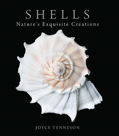 Shells: Nature's Exquisite Creations