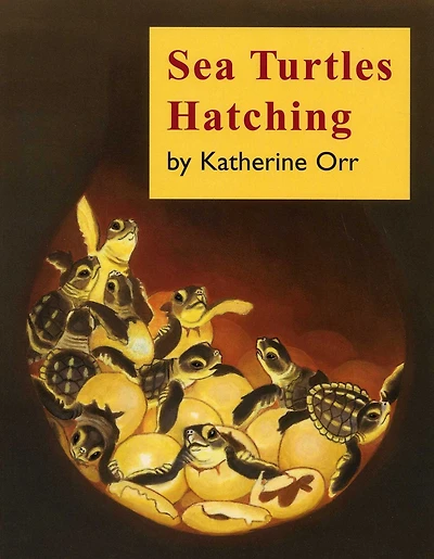Sea Turtles Hatching