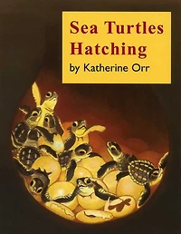Sea Turtles Hatching