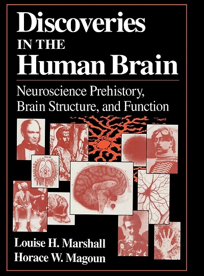 Discoveries in the Human Brain: Neuroscience Prehistory, Brain Structure, and Function