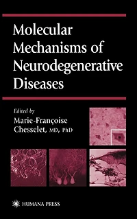 Molecular Mechanisms of Neurodegenerative Diseases