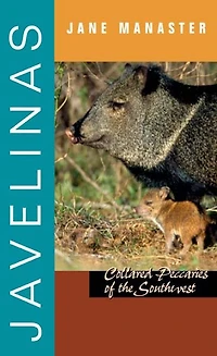Javelinas: Collared Peccaries of the Southwest