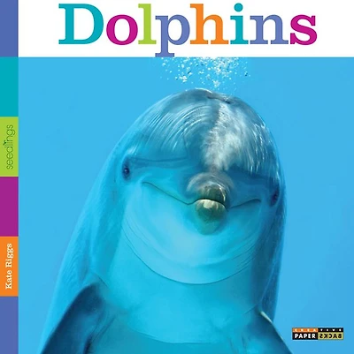 Dolphins