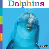 Dolphins