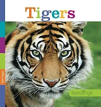 Tigers