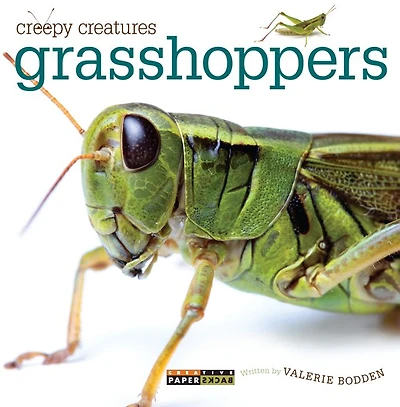 Grasshoppers (Creepy Creatures Series)