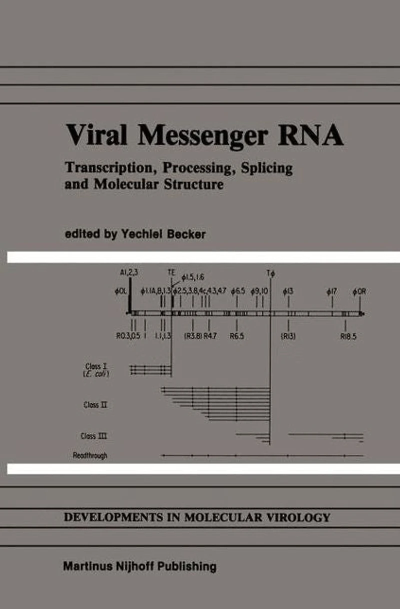 Viral Messenger RNA: Transcription, Processing, Splicing and Molecular Structure