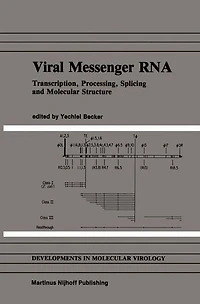 Viral Messenger RNA: Transcription, Processing, Splicing and Molecular Structure