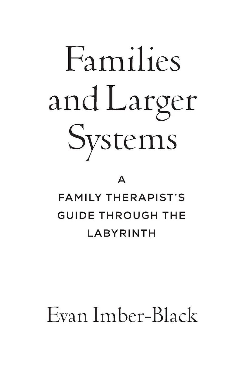 Families and Larger Systems: A Family Therapist's Guide Through the Labyrinth