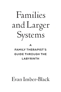 Families and Larger Systems: A Family Therapist's Guide Through the Labyrinth