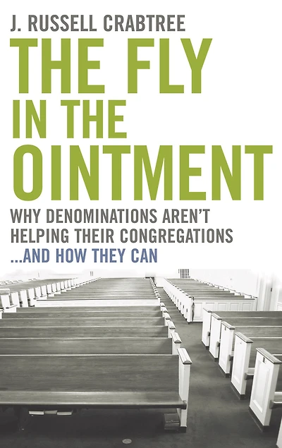 the Fly Ointment: Why Denominations Aren't Helping Their Congregations...and How They Can