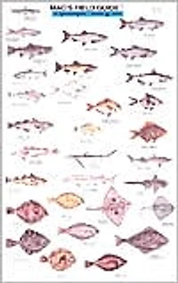 Mac's Field Guide to Northwestern Coastal Fish